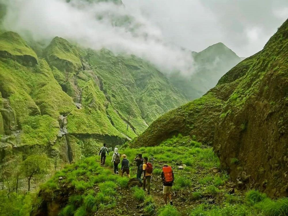 Jalur pendakian rinjani via torean yang mirip di Jurasic Park 