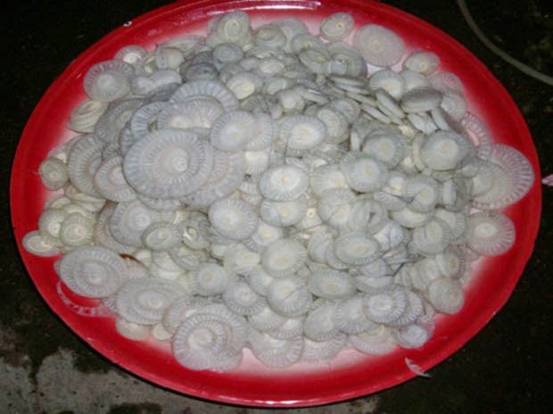 Kedebong pisang siap di masak menjadi ares