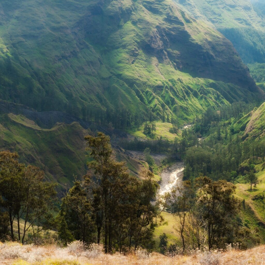 Pemandangan Aliran sungai kokok putik yang diapit oleh perbukitan dari atas tebing.