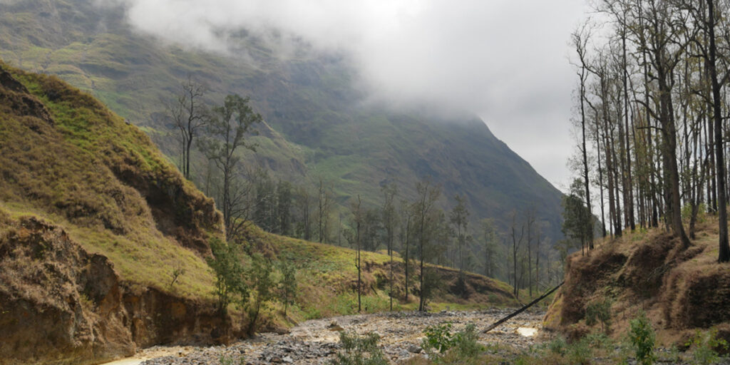 Pendakian gunung rinjani via jalur Torean