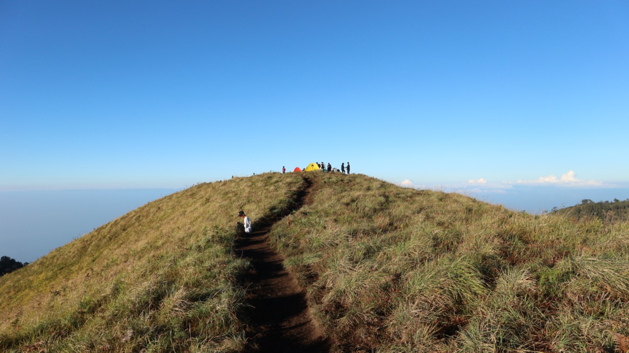 Sabana di puncak bukit sempana