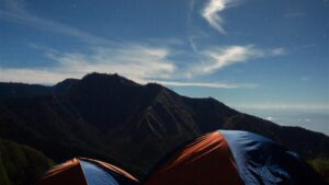 Camping di bukit kondo dan sabana propok Sembalun,