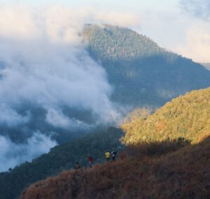 Trek pendakian bukit Bao Ritip Sembalun.
